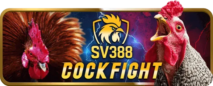 Đá gà trực tuyến TJ77